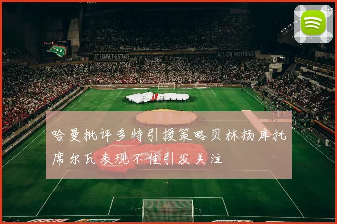 哈曼批评多特引援策略贝林扬库托席尔瓦表现不佳引发关注