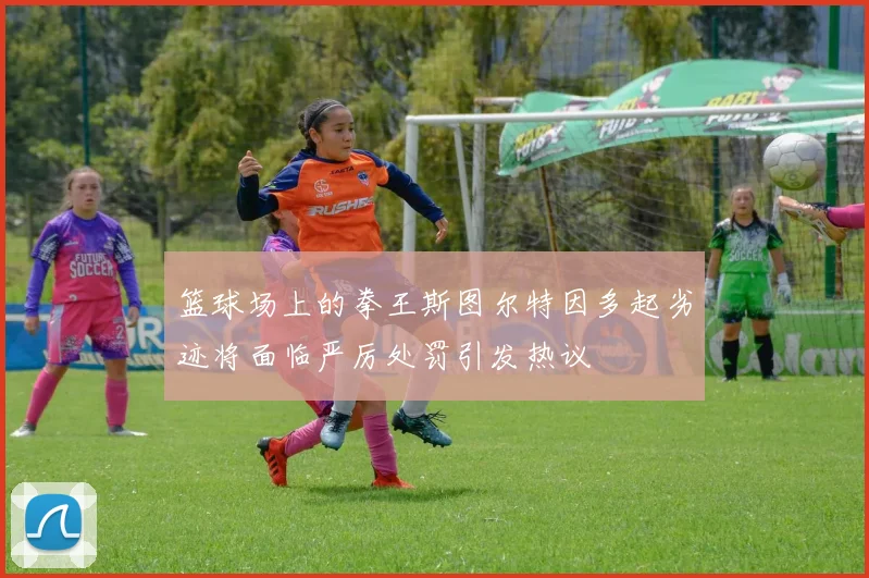 篮球场上的拳王斯图尔特因多起劣迹将面临严厉处罚引发热议