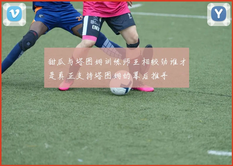 甜瓜与塔图姆训练师互相较劲谁才是真正支持塔图姆的幕后推手