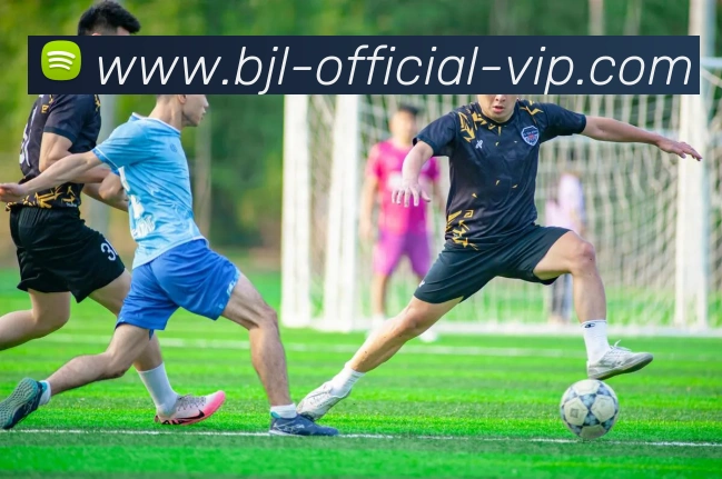 百家乐官方网站平台生态图